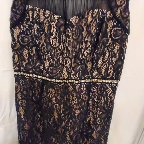 BRAND NEW ENFOCUS LACE BLACK &TAN SLEEVELESS ROUND NECKLINE DRESS - Picture 3 of 10